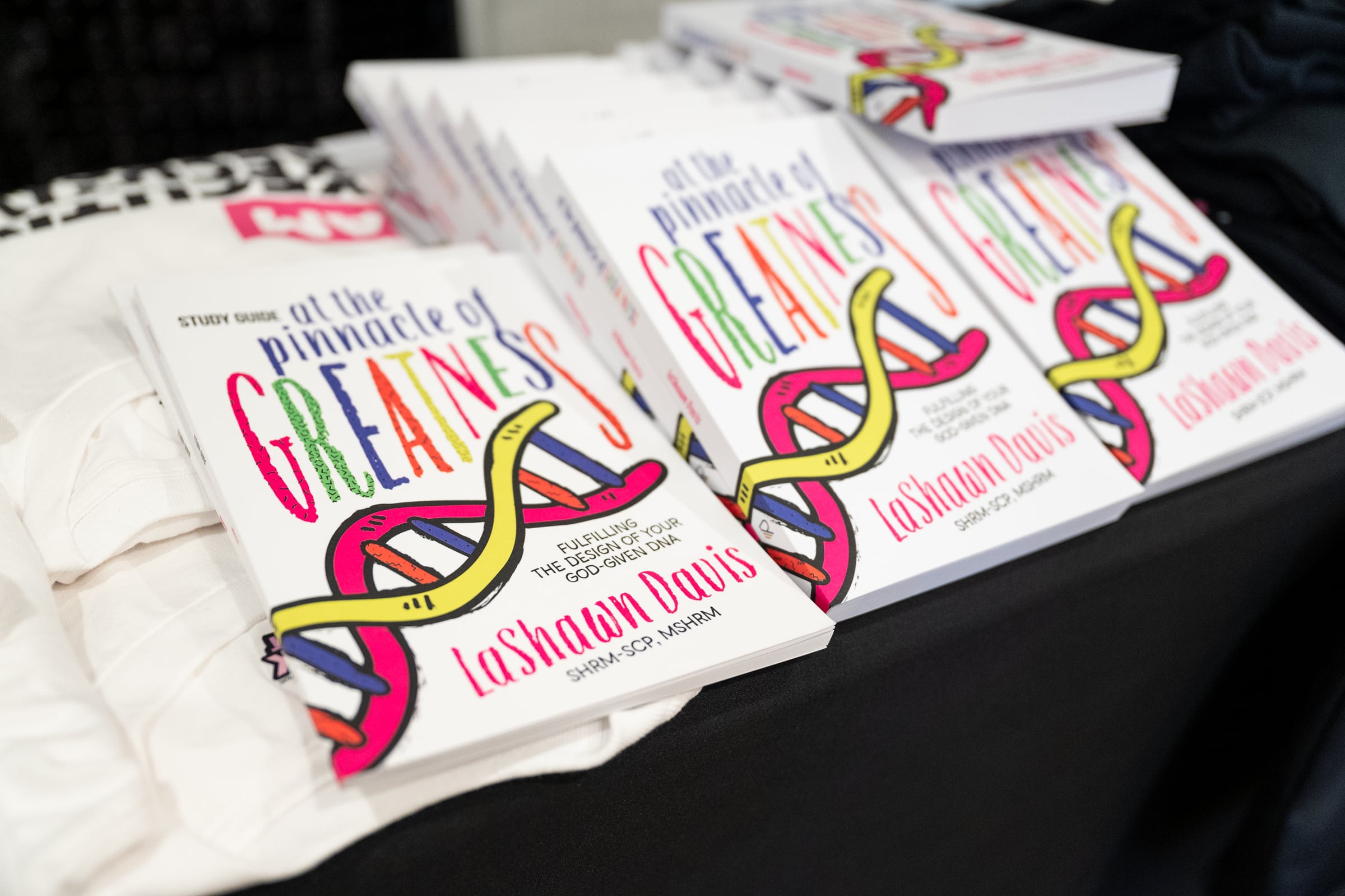 Copies of At the Pinnacle of Greatness by LaShawn Davis